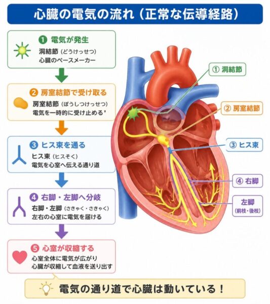 高齢者の「転倒」に隠れる危険な不整脈とは?のアイキャッチ画像