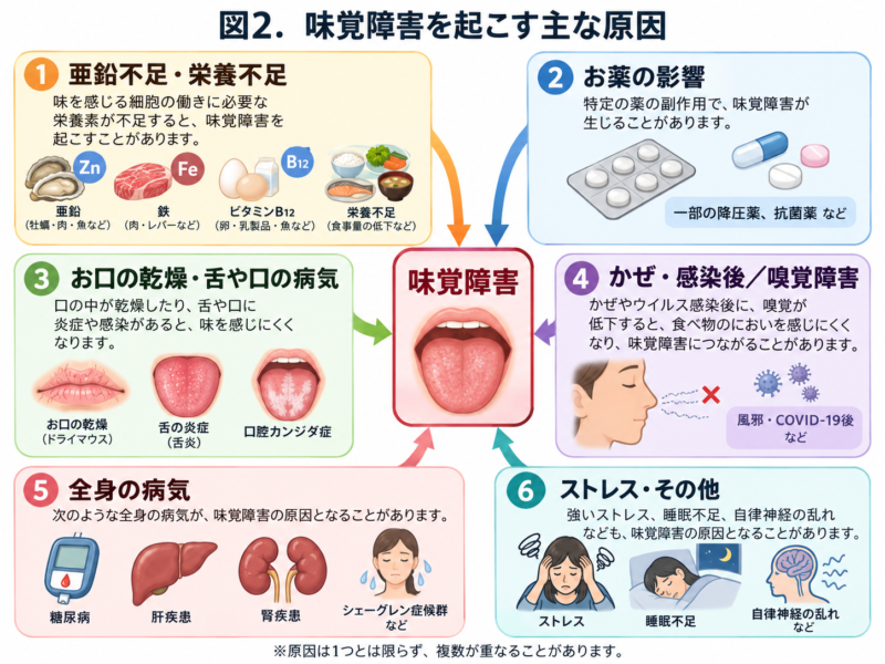 味覚障害の主な原因を示す図。亜鉛不足、薬の影響、口の乾燥、感染後、全身疾患、ストレスなど6つの原因を日本語で整理した患者向け図解