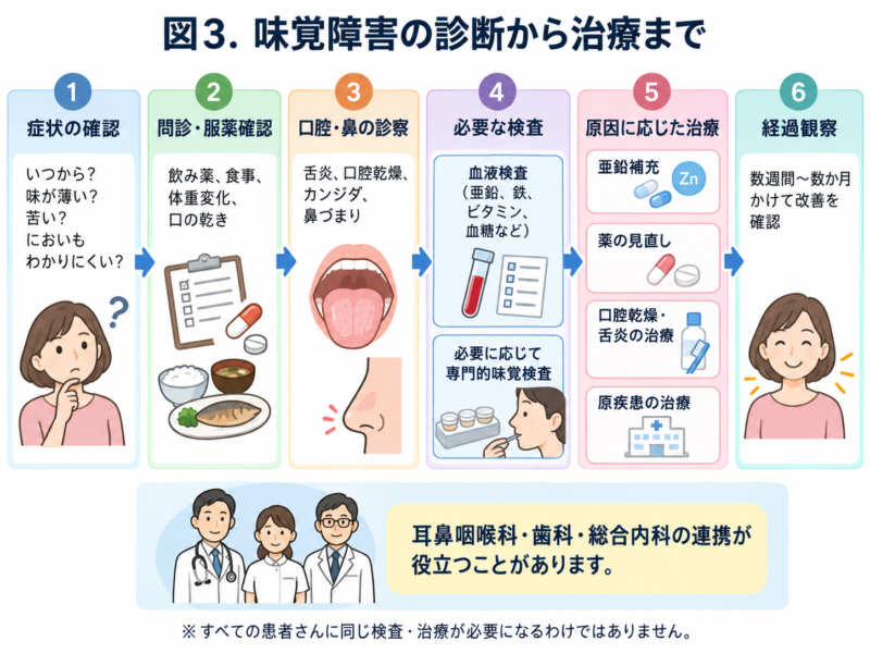 味覚障害の診断から治療までの流れを示す図。症状確認、問診、口腔と鼻の診察、血液検査、原因別治療、経過観察の順に説明した日本語のフローチャート
