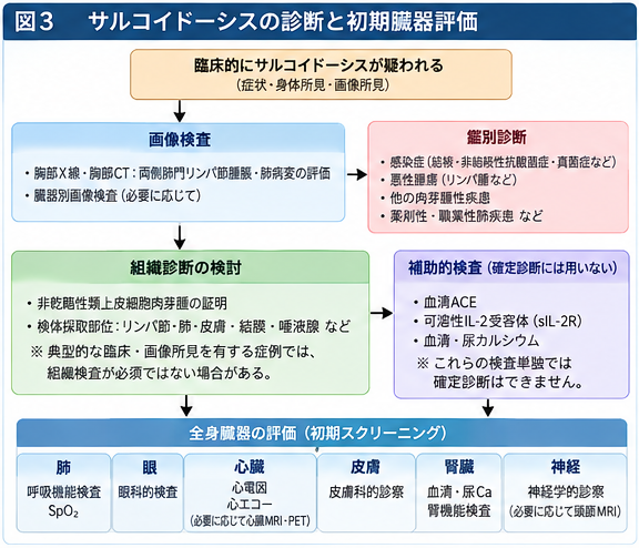 サルコイドーシスの画像診断、病理検査、鑑別診断、全身臓器評価のフローチャート