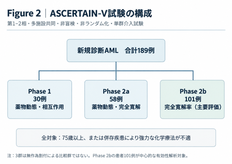 ASCERTAIN-V試験の3段階の試験デザインと患者数