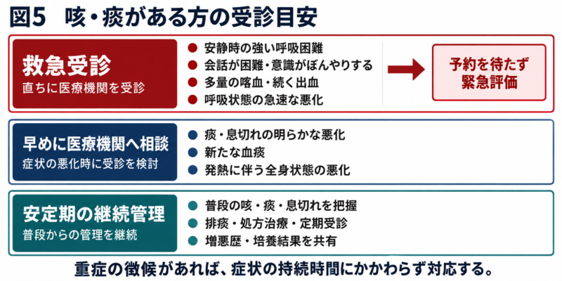 強い呼吸困難・意識変容・多量の喀血は救急受診、痰や息切れの悪化・新たな血痰は早期相談とする受診目安の図。