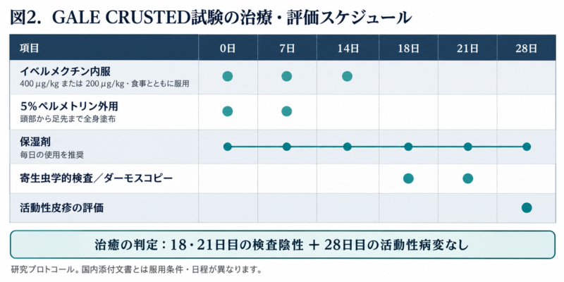 イベルメクチンは0・7・14日目、ペルメトリンは0・7日目に使用。18・21日目にダニなどの陰性、28日目に活動性病変の消失を評価した試験日程。